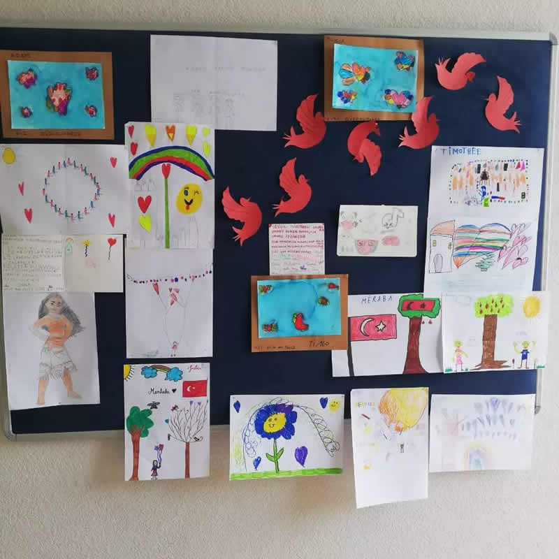 2023/BEAUVAIS ANADOLU